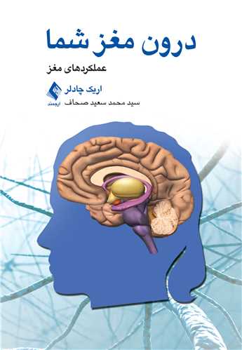 درون مغز شما عملکردهای مغز